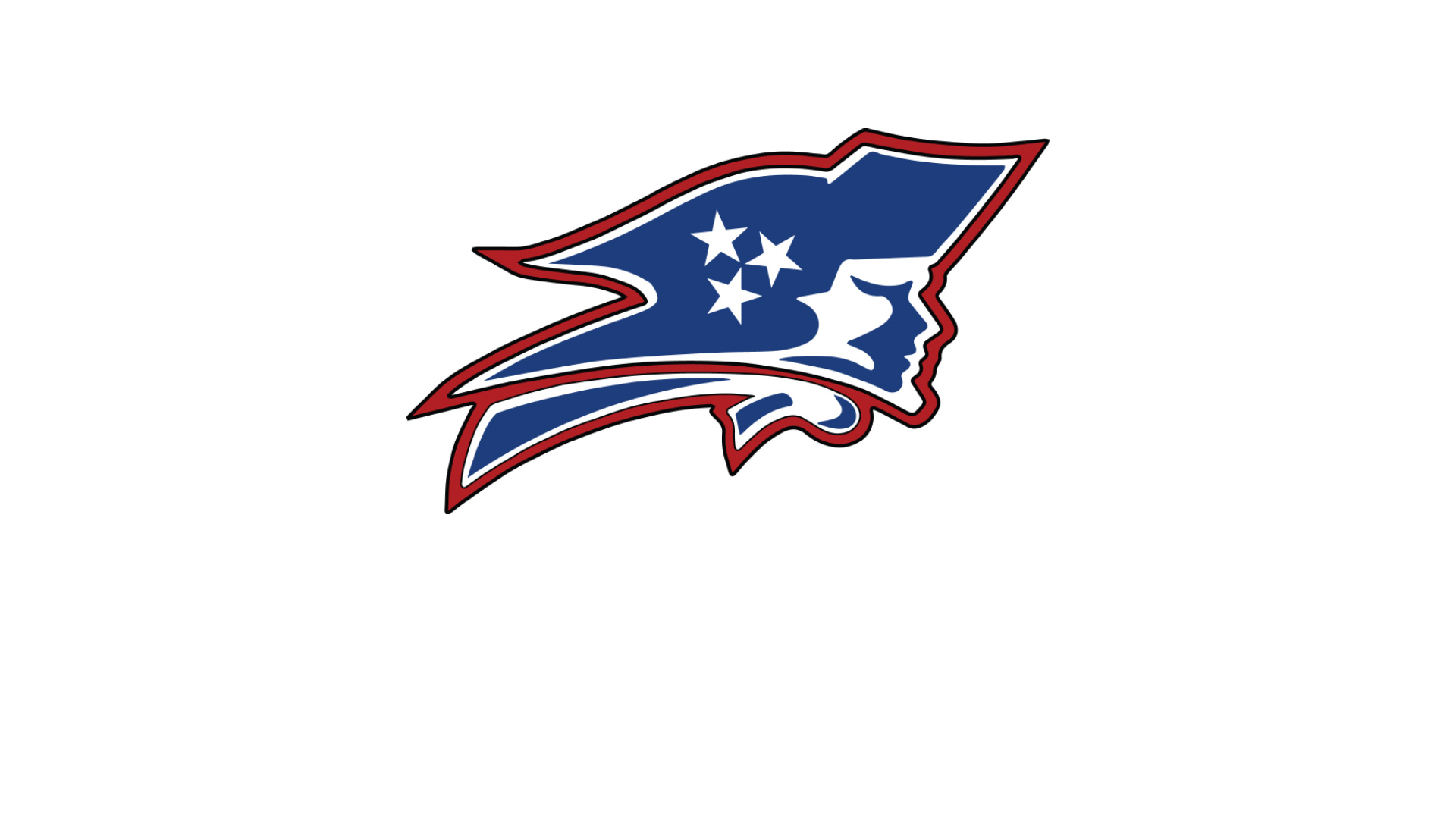 Rebels Finish 4th at State Cross Country Meet, Zani Places 9th